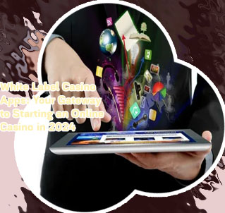 App casino services website development