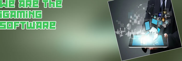 Igaming business software development platforms