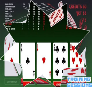 Poker training software