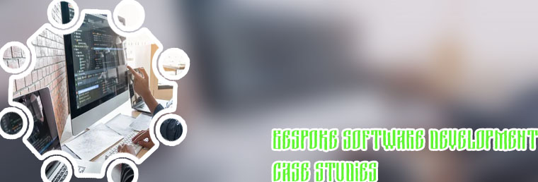 Software development case studies